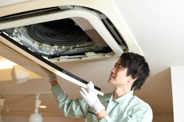 Best Residential Air Duct Cleaning  in Three Oaks, FL
